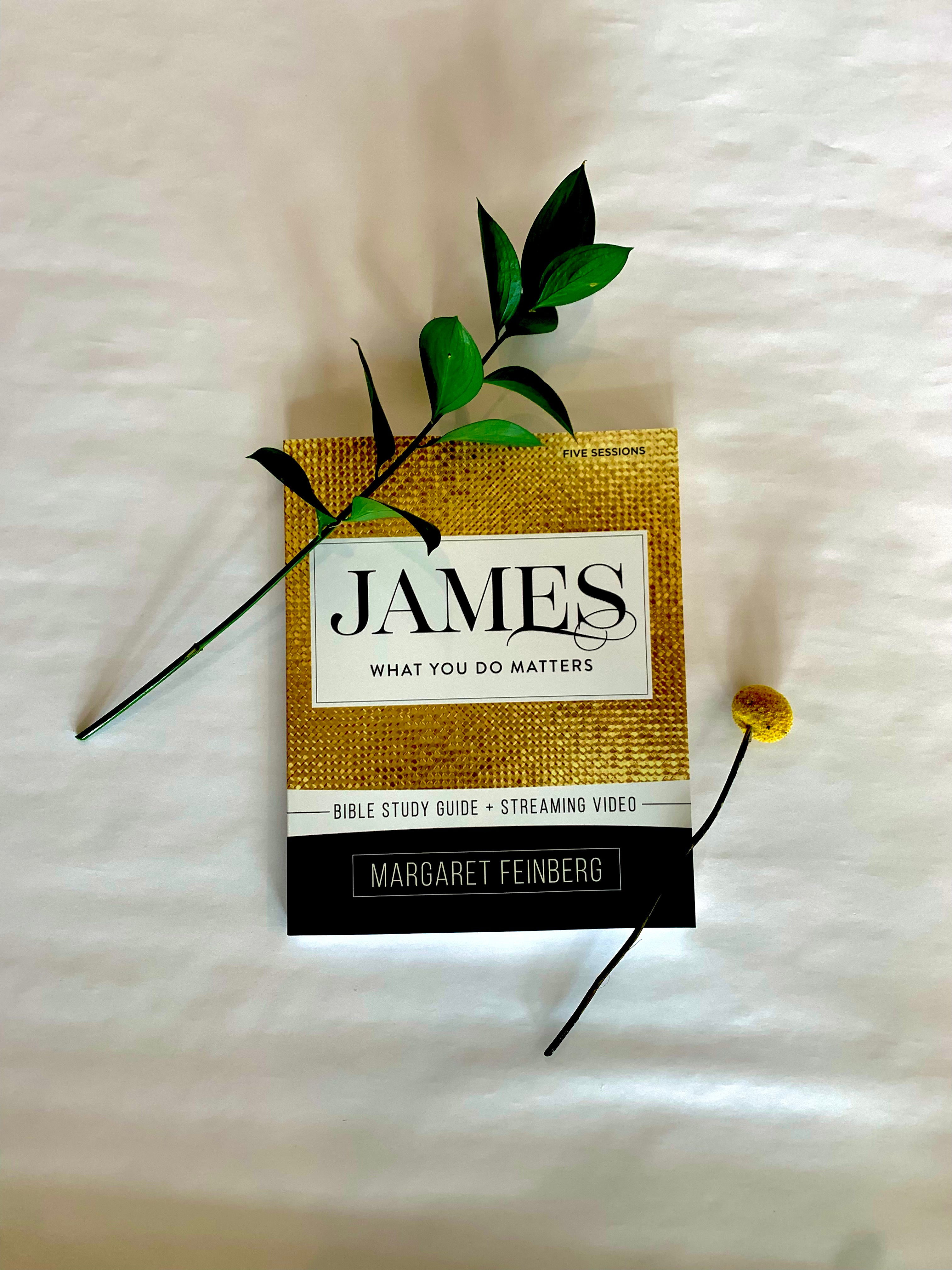 James: What You Do Matters Workbook with STREAMING