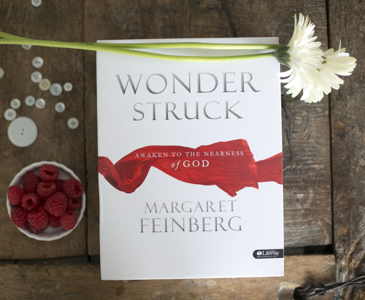 Wonderstruck DVD Bible Study Kit