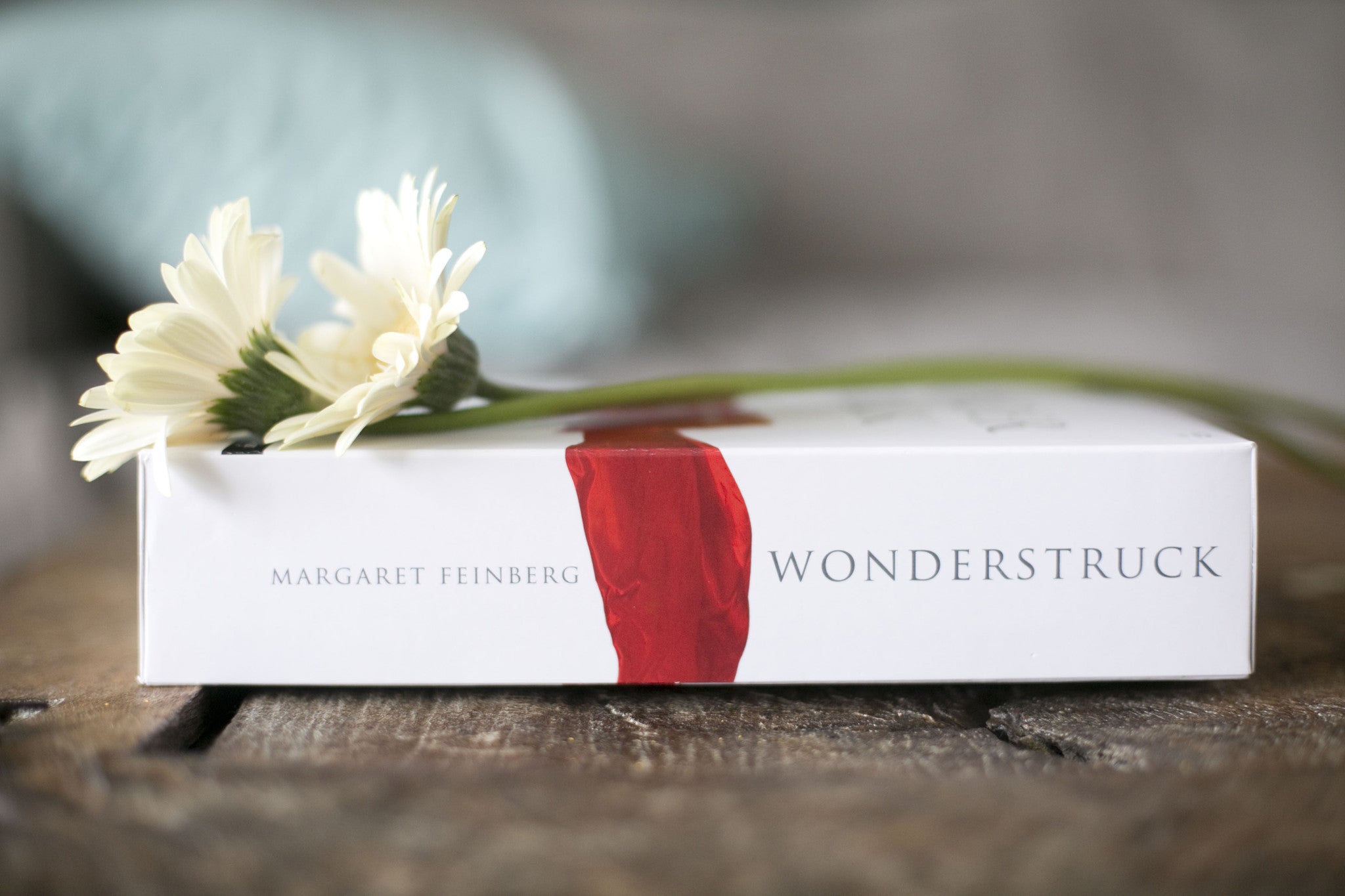 Wonderstruck DVD Bible Study Kit