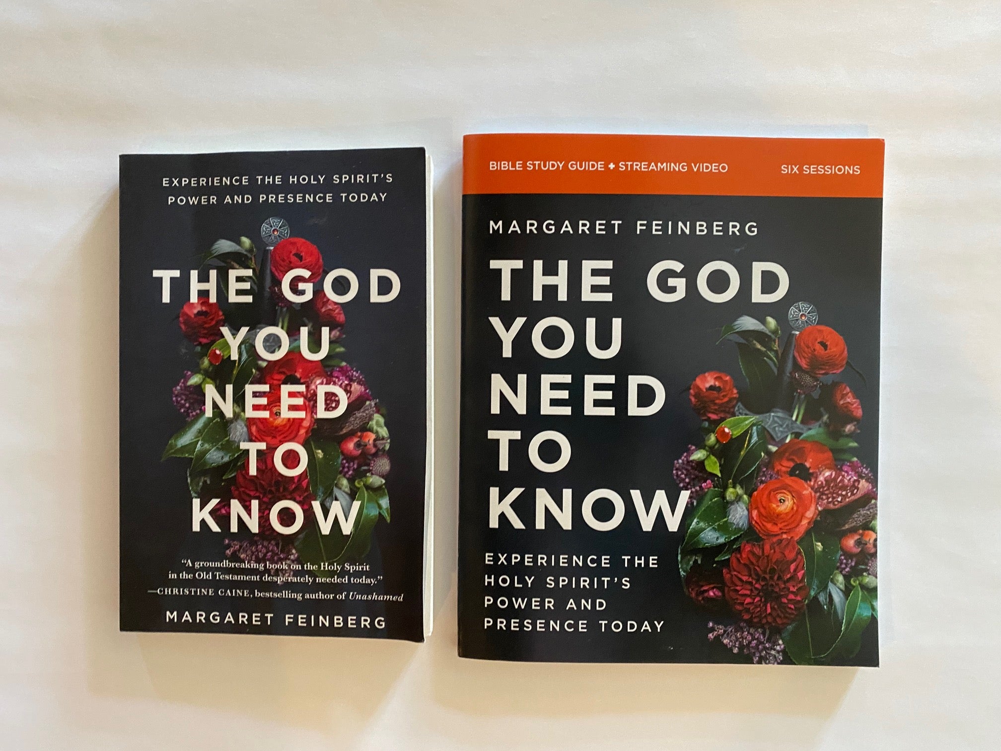 The God You Need to Know Book + Workbook Combination