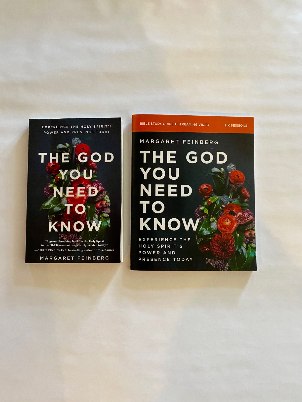 The God You Need to Know Book + Workbook Combination