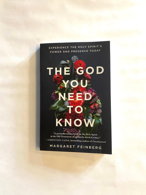 The God You Need to Know: Experience the Holy Spirit's Power and Presence Today Book