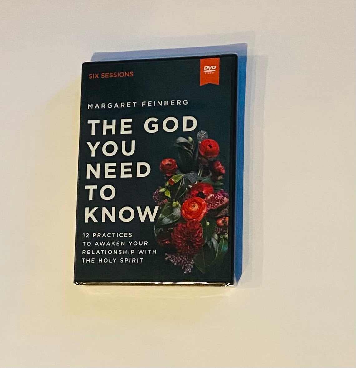 The God You Need to Know Bible Study DVD
