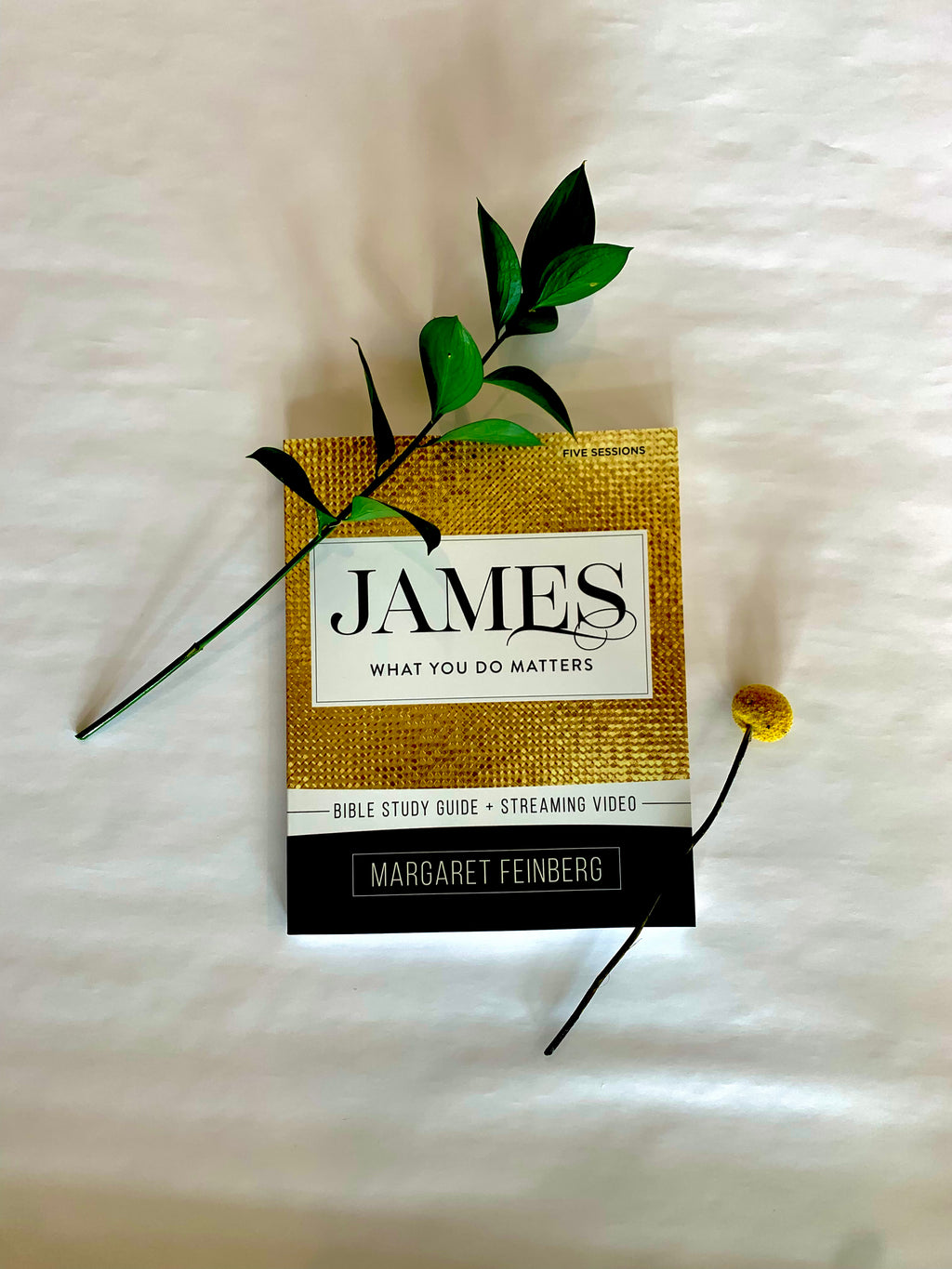 James: What You Do Matters Workbook with STREAMING