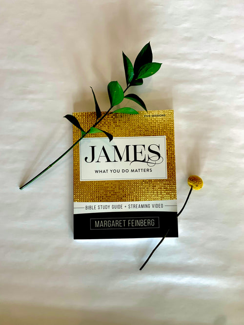 James: What You Do Matters Workbook with STREAMING