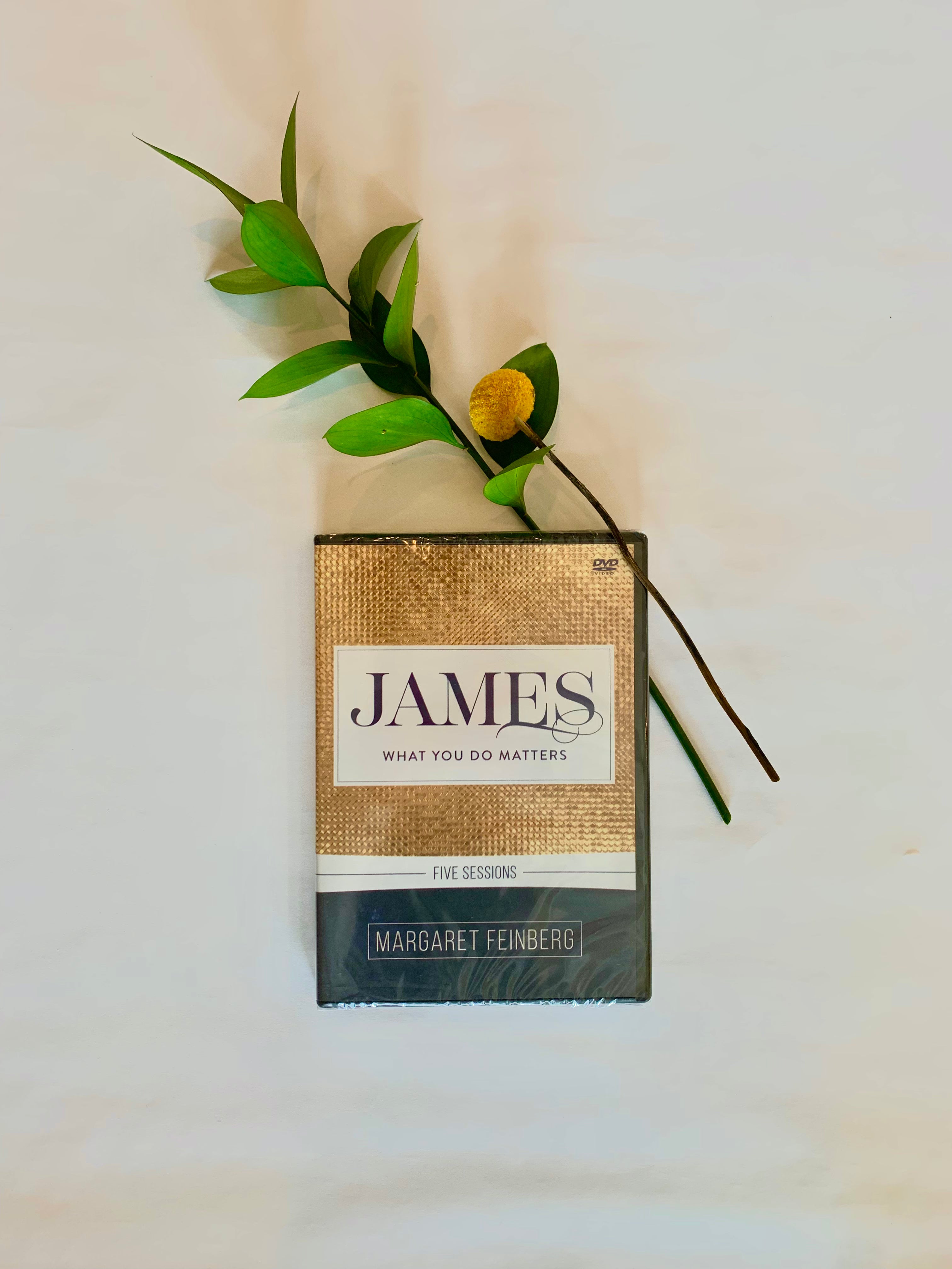 James: What You Do Matters DVD