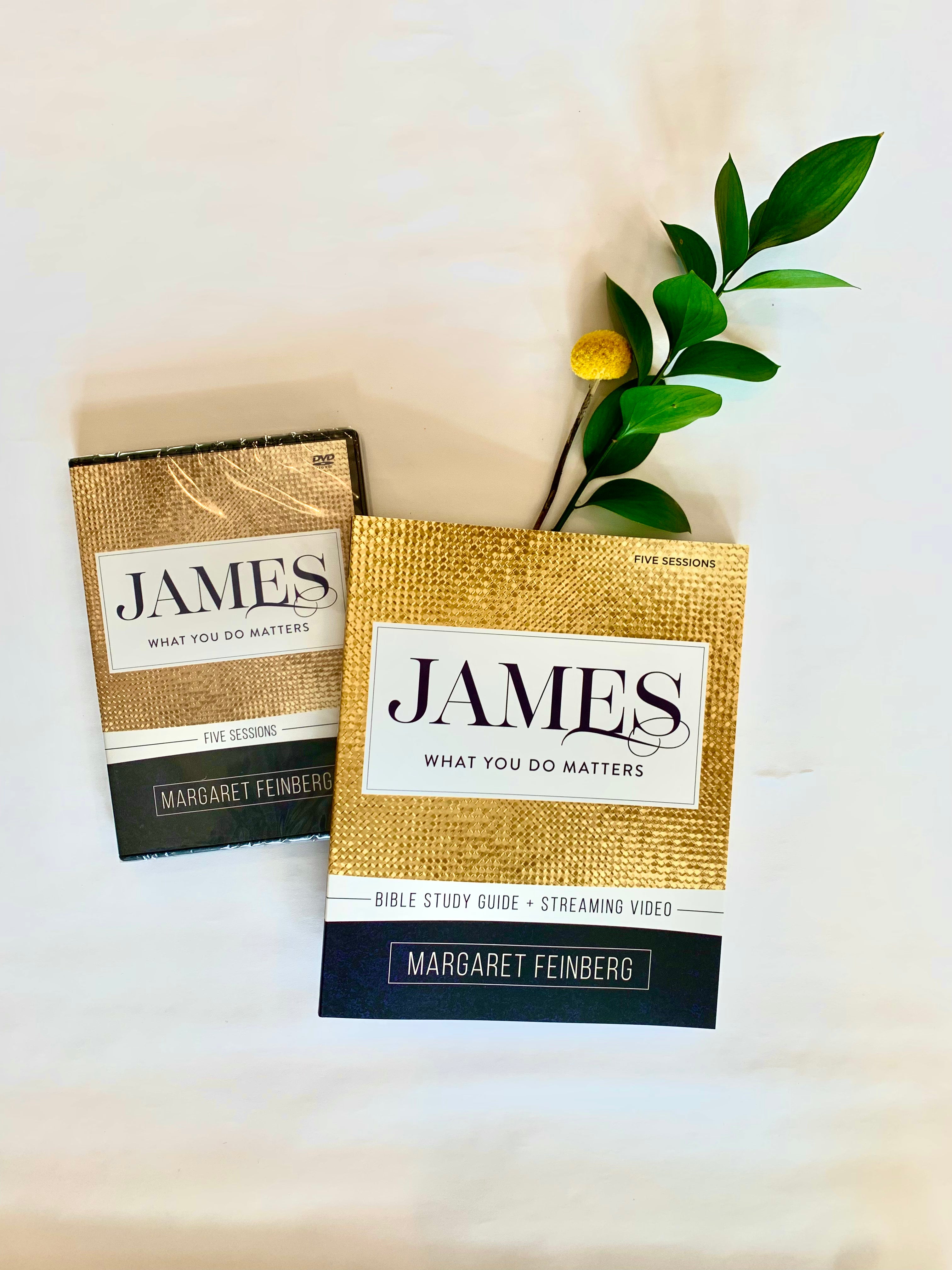 James: What You Do Matters DVD and Workbook with Streaming