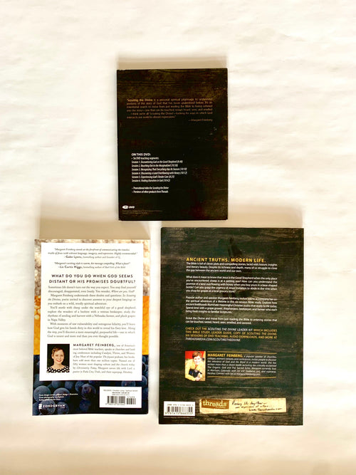 Scouting the Divine 6-Session DVD Bible Study Kit