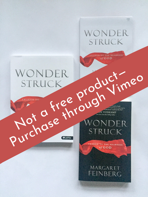 Wonderstruck: Awaken to the Nearness of God Bible Study STREAMING - Purchase through Vimeo