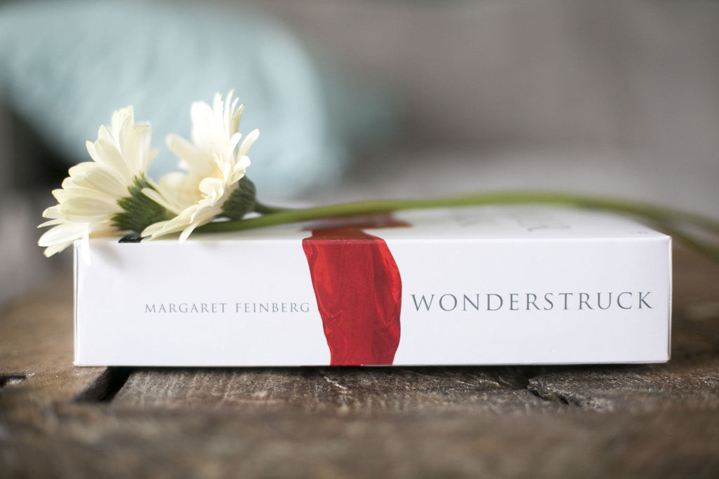 Wonderstruck: Awaken to the Nearness of God Bible Study STREAMING - Purchase through Vimeo
