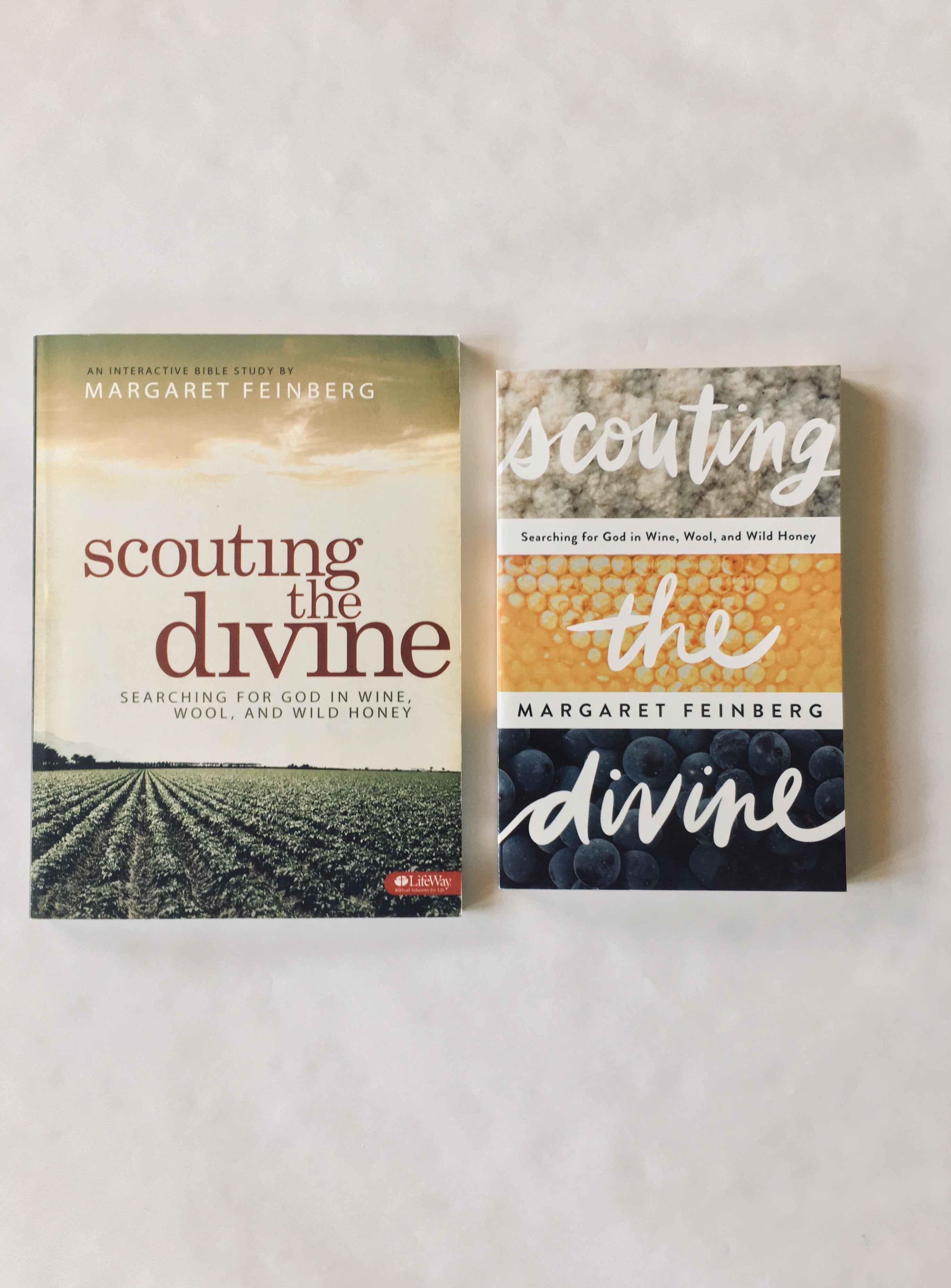 Scouting the Divine Book & Workbook Combination