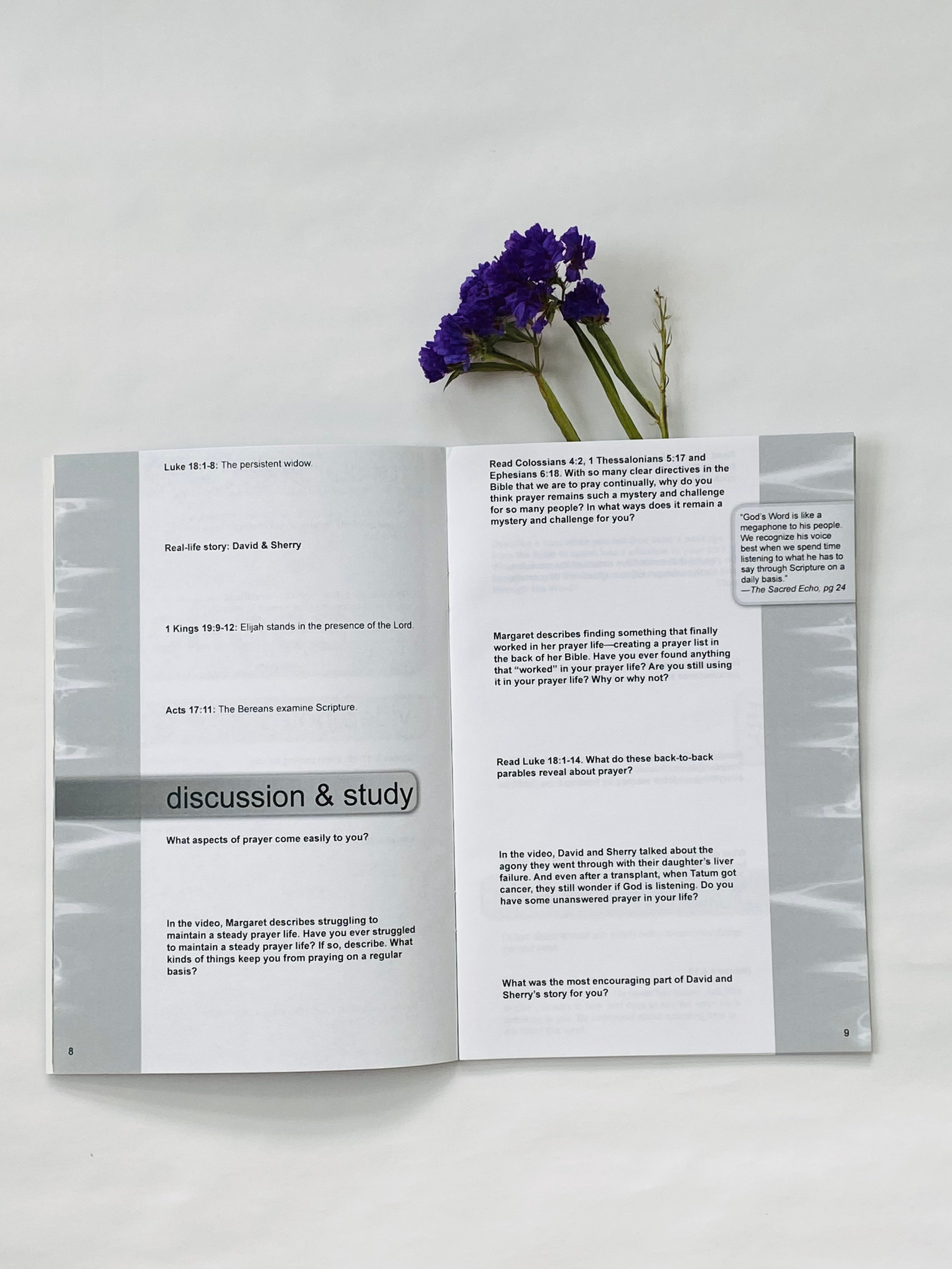 The Sacred Echo Workbook