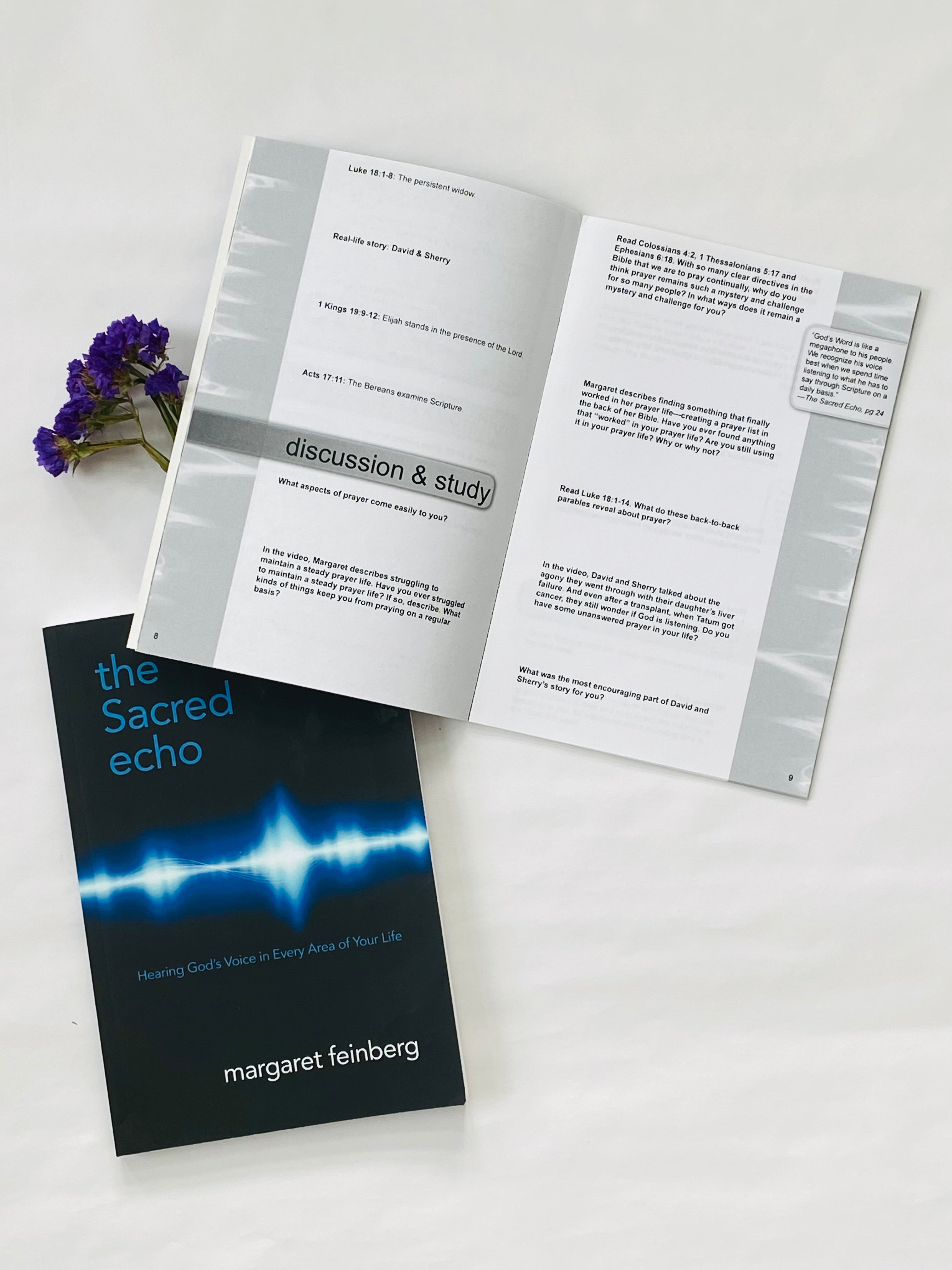 The Sacred Echo Book & Workbook Combination