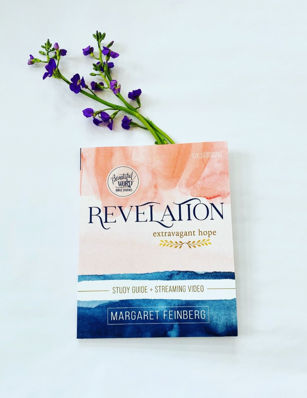 Revelation: Extravagant Hope Workbook with STREAMING