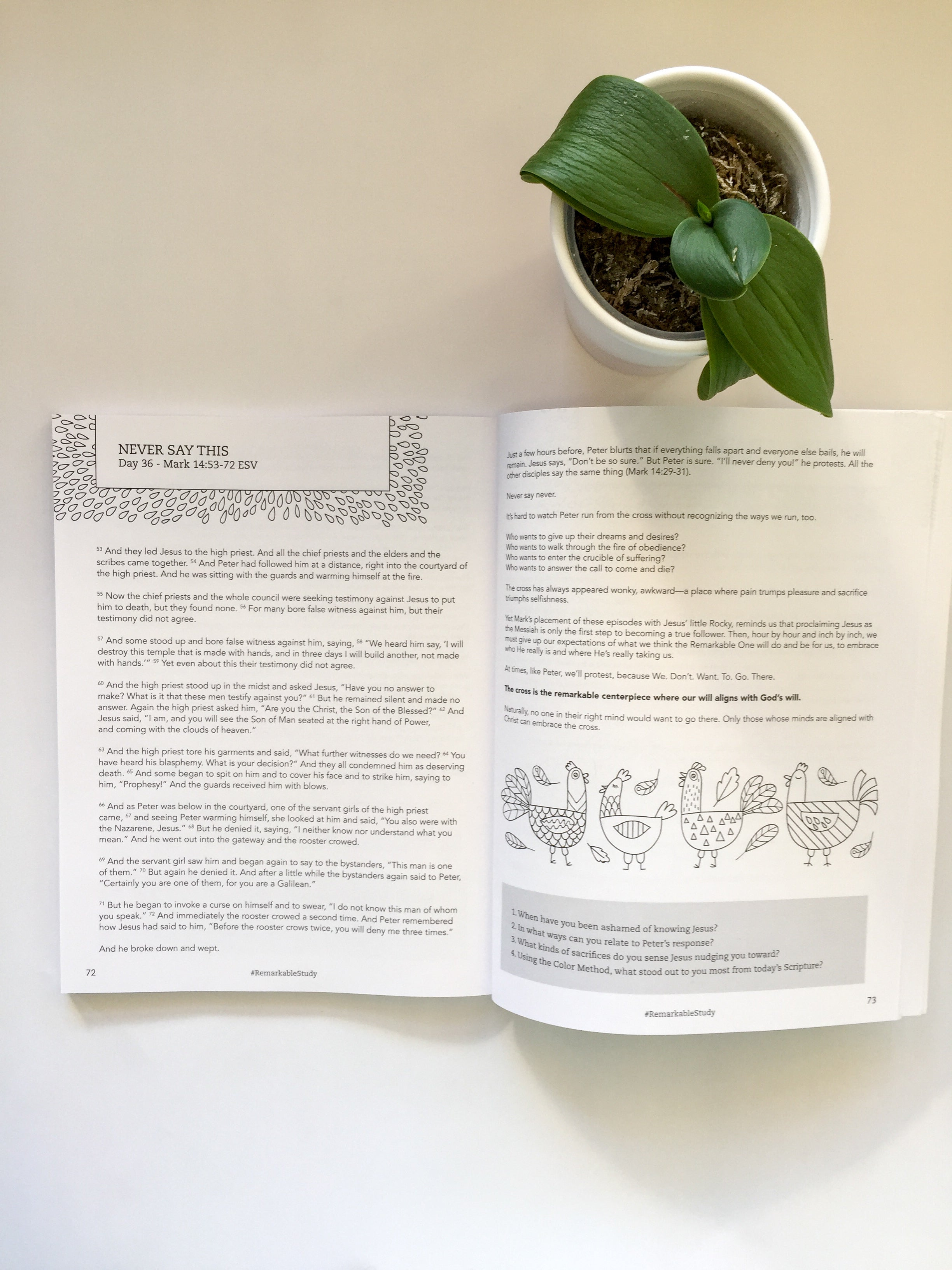 Remarkable: 40-Days in the Book of Mark