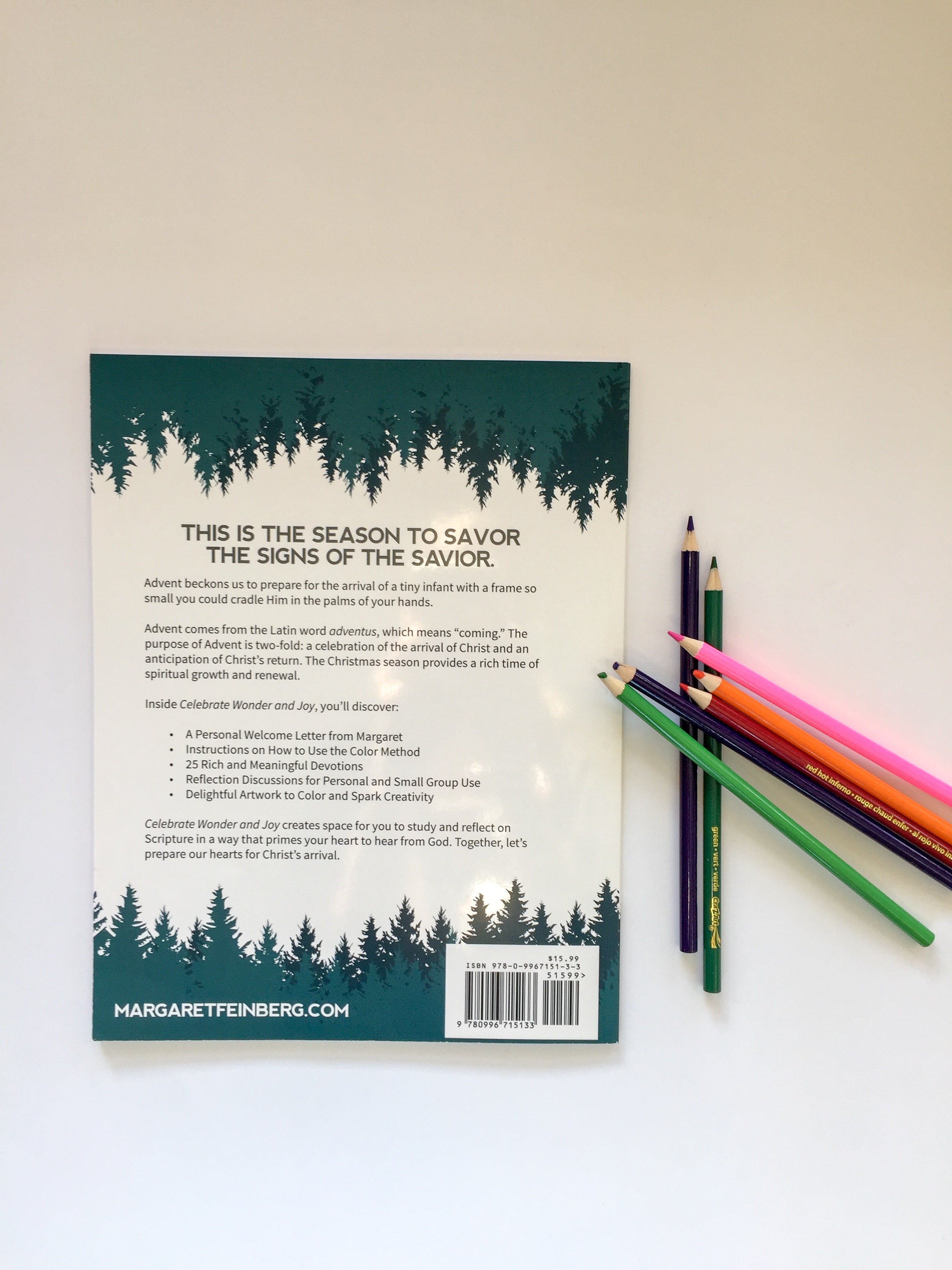 Celebrate Wonder and Joy: 25 Devotions for Advent and Christmas