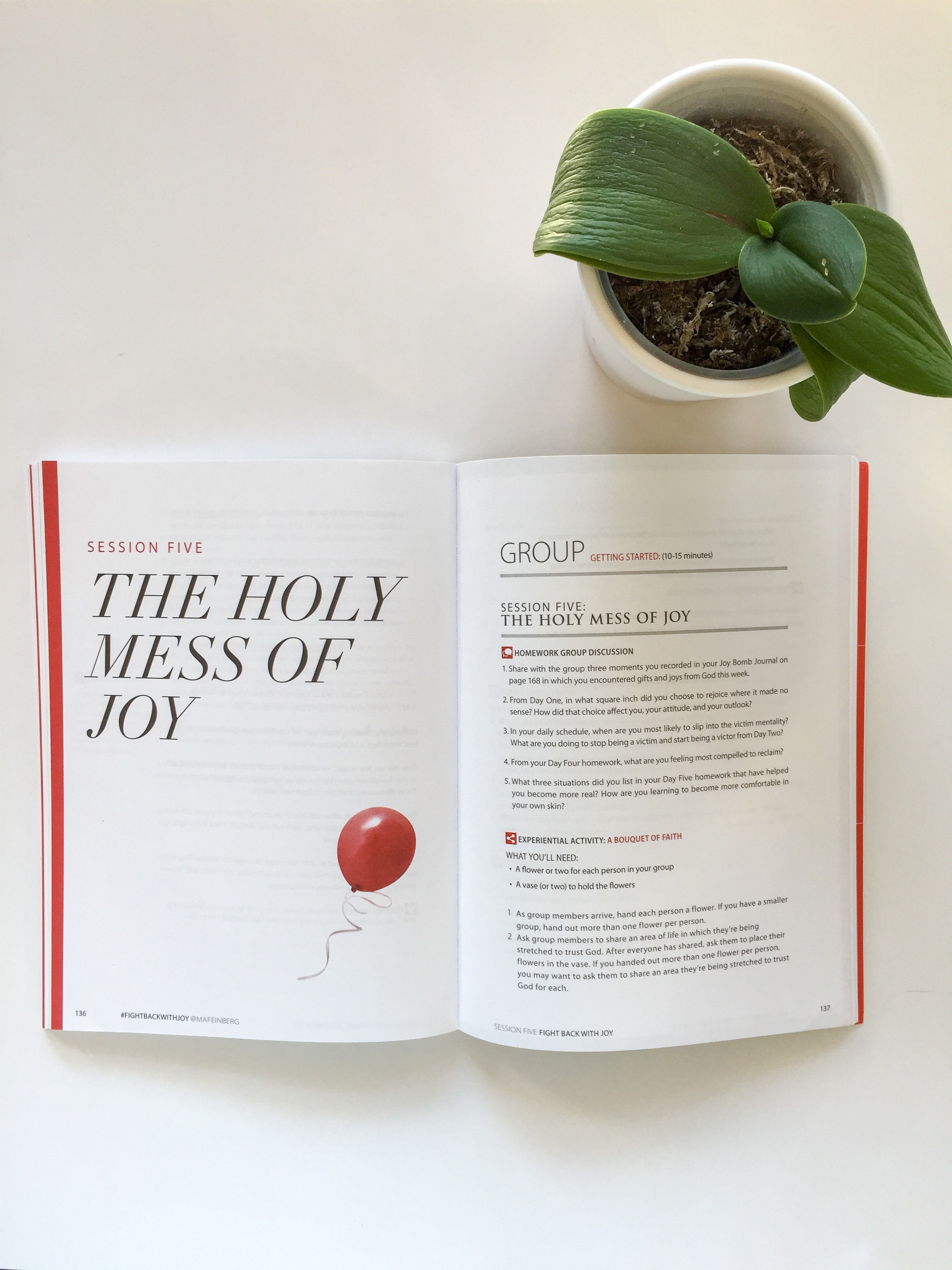 Fight Back With Joy Additional Workbook