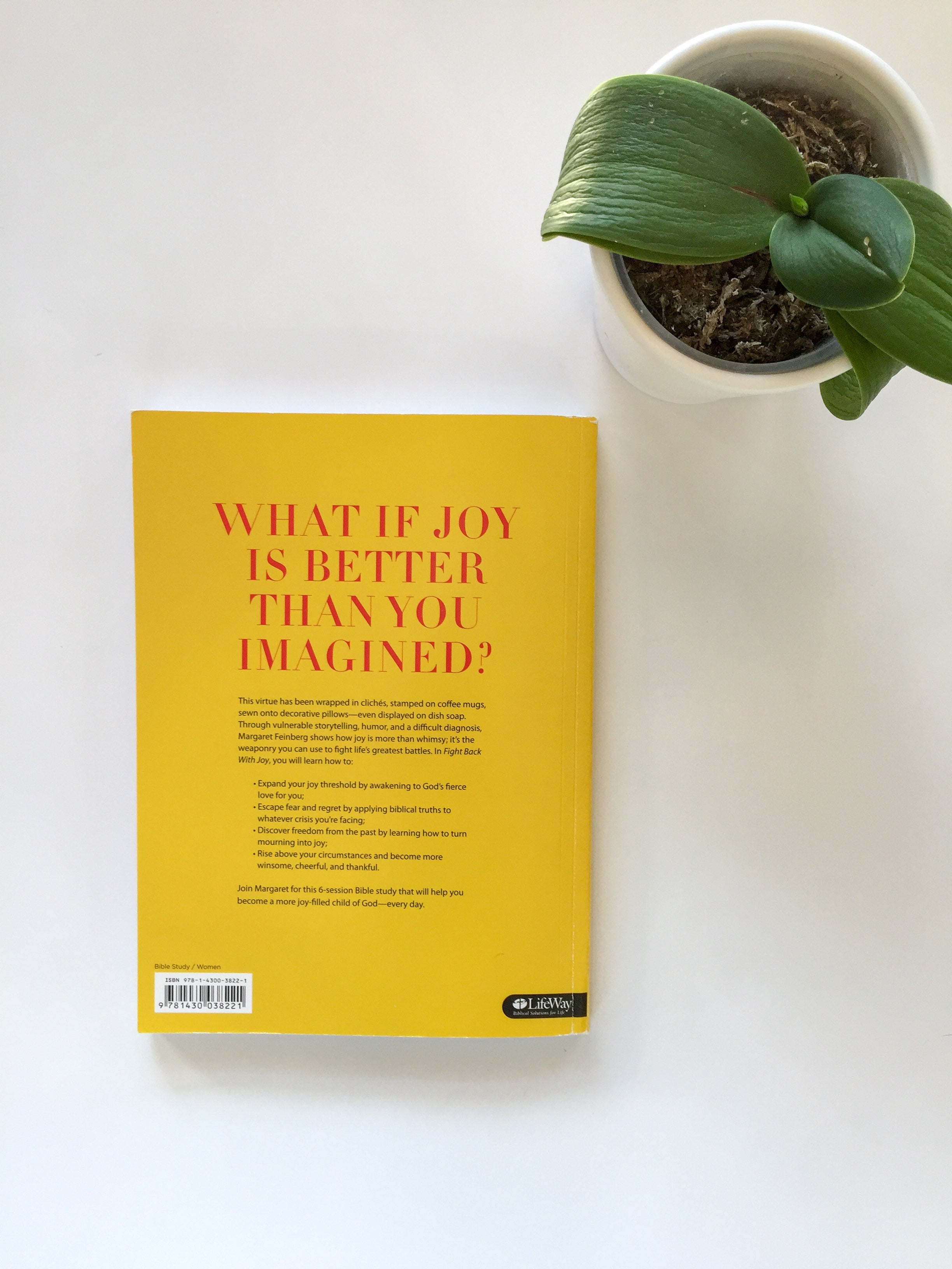 Fight Back With Joy Additional Workbook