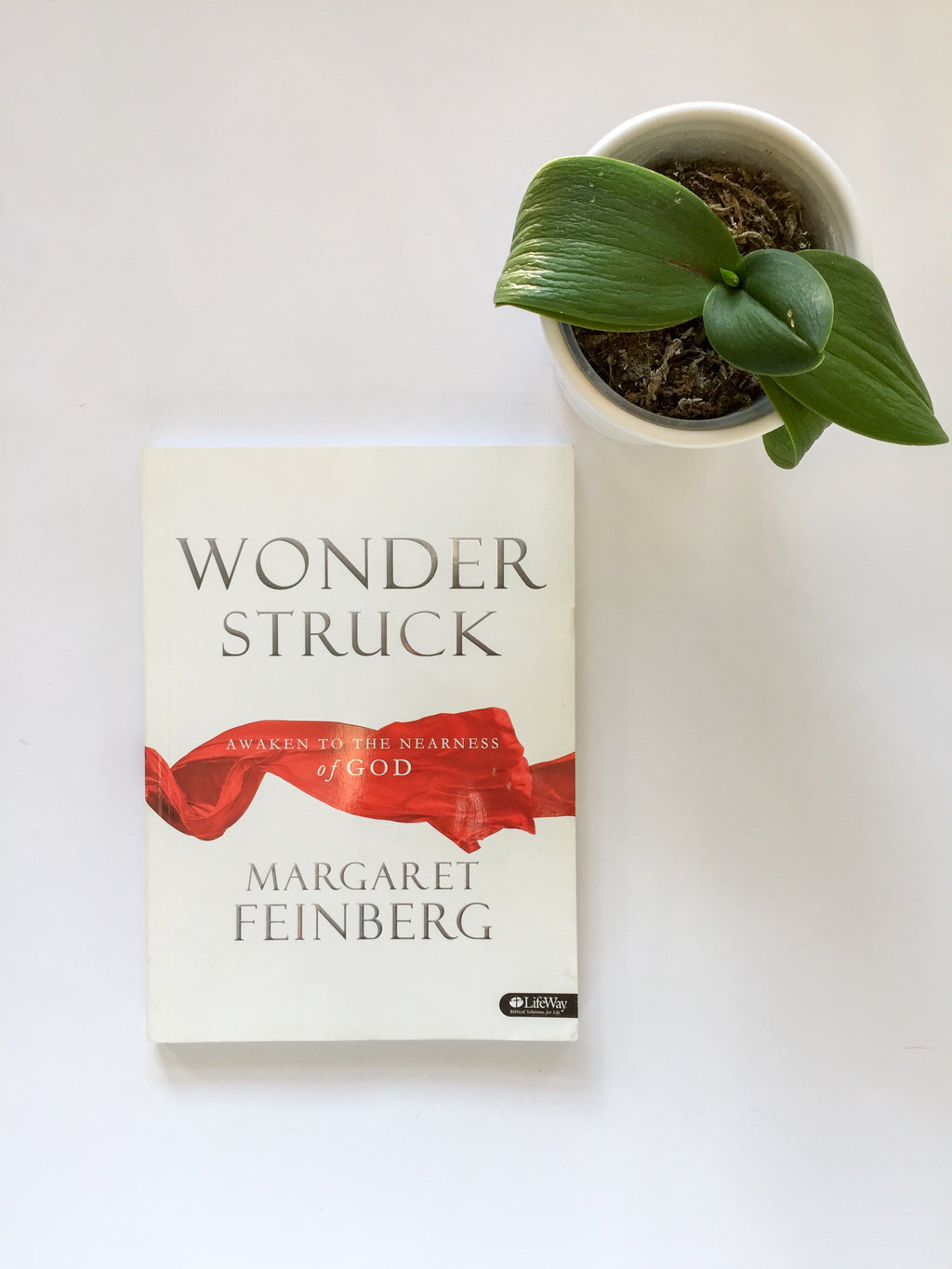 Wonderstruck Workbook