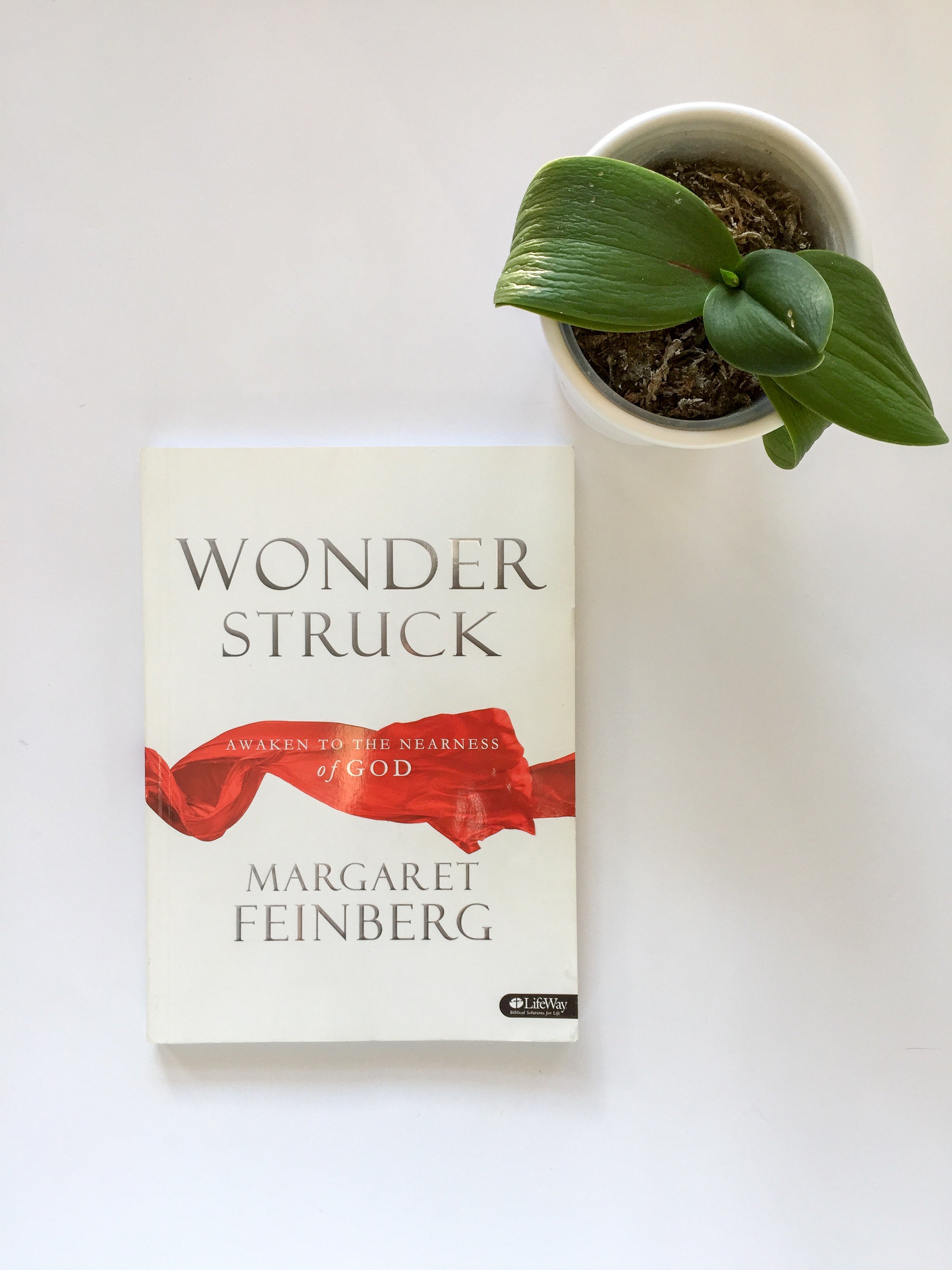 Wonderstruck Workbook