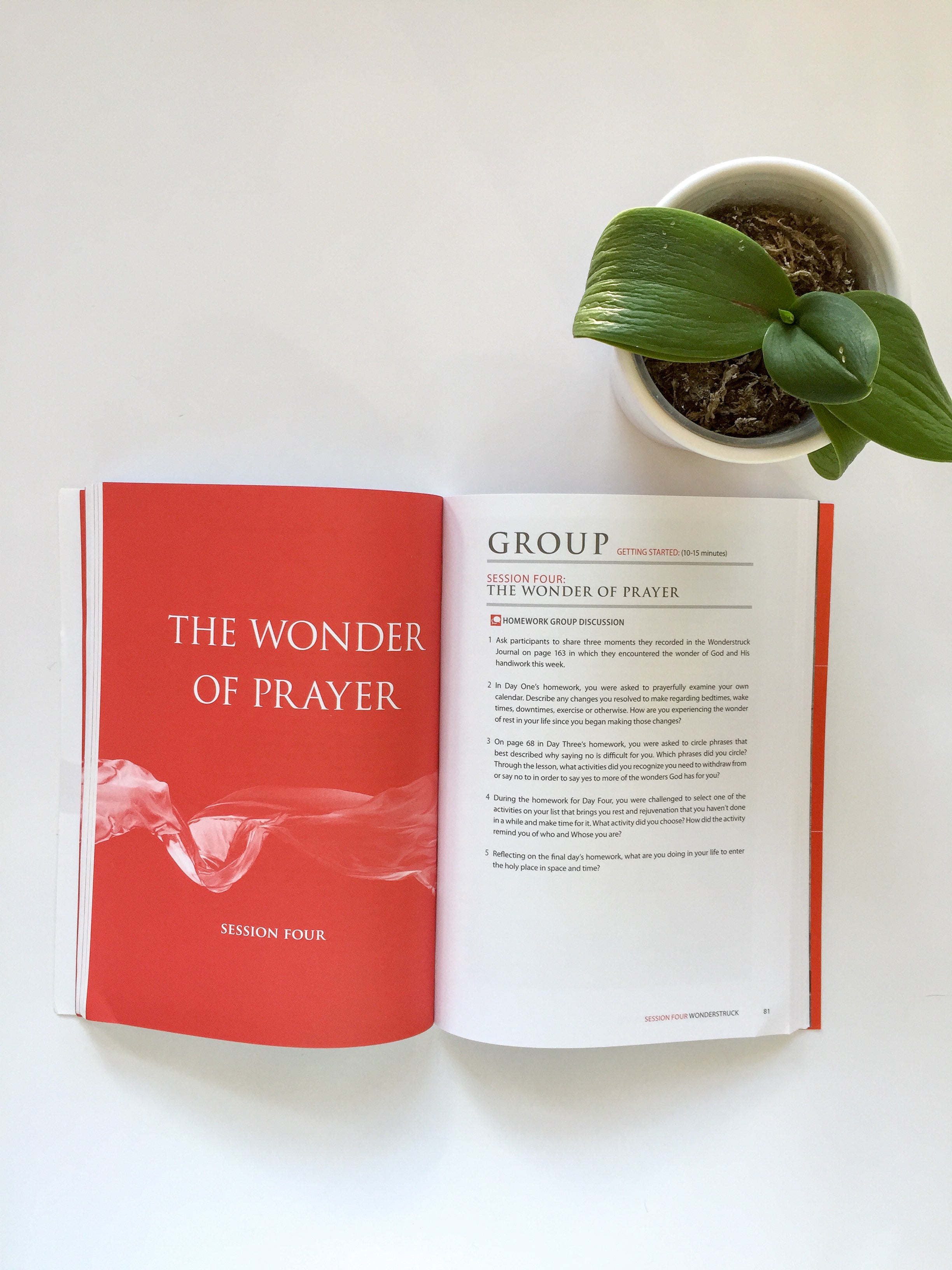 Wonderstruck Workbook