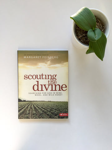 Scouting the Divine Book & Workbook Combination