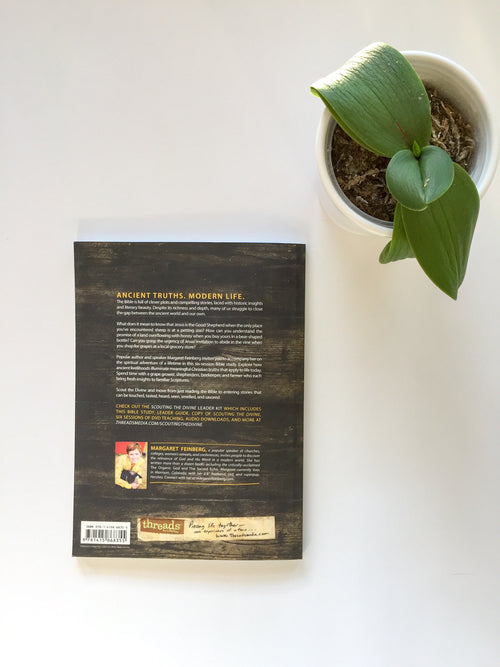 Scouting the Divine Workbook