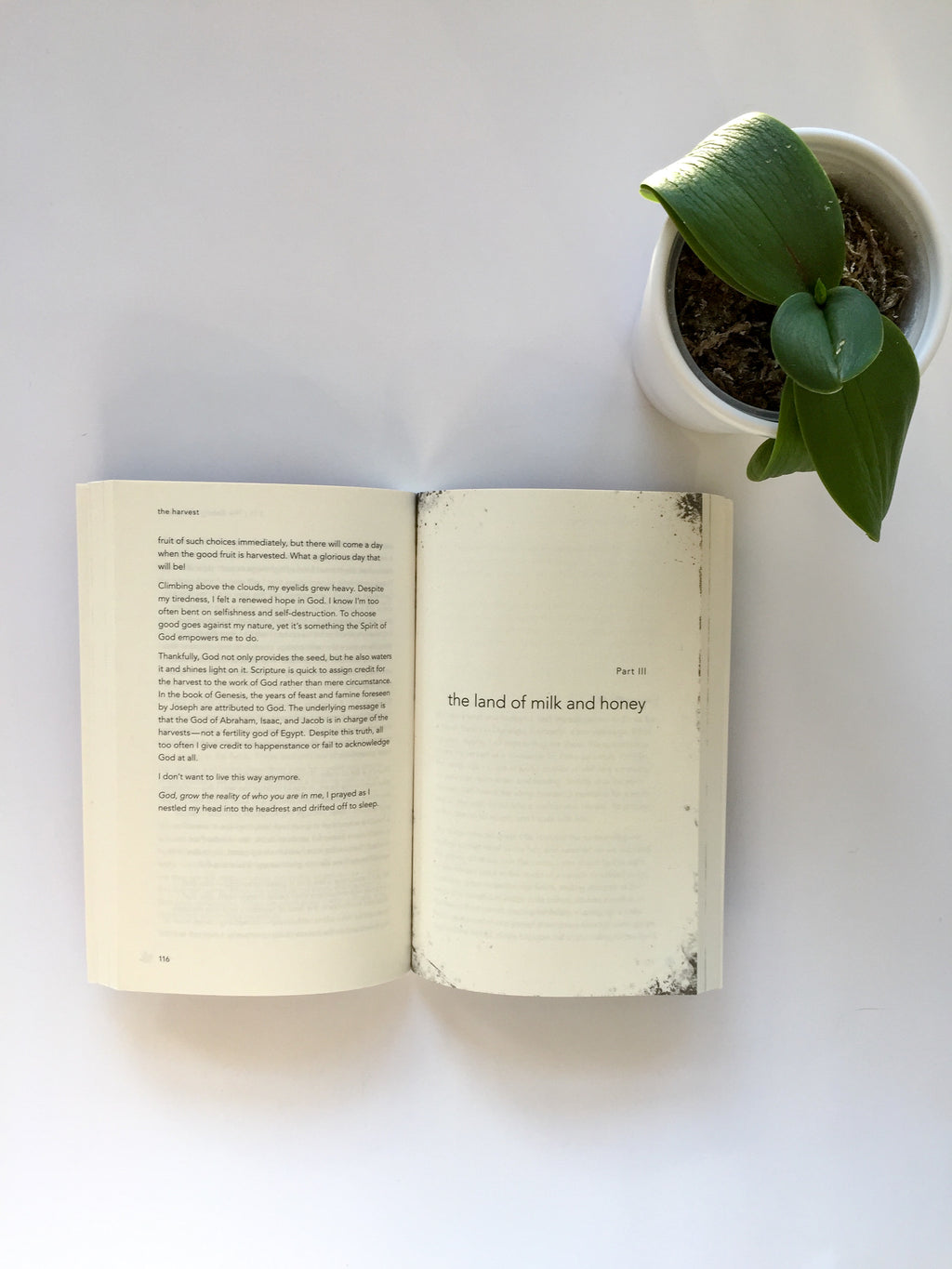 Scouting the Divine: My Search for God in Wine, Wool, and Wild Honey