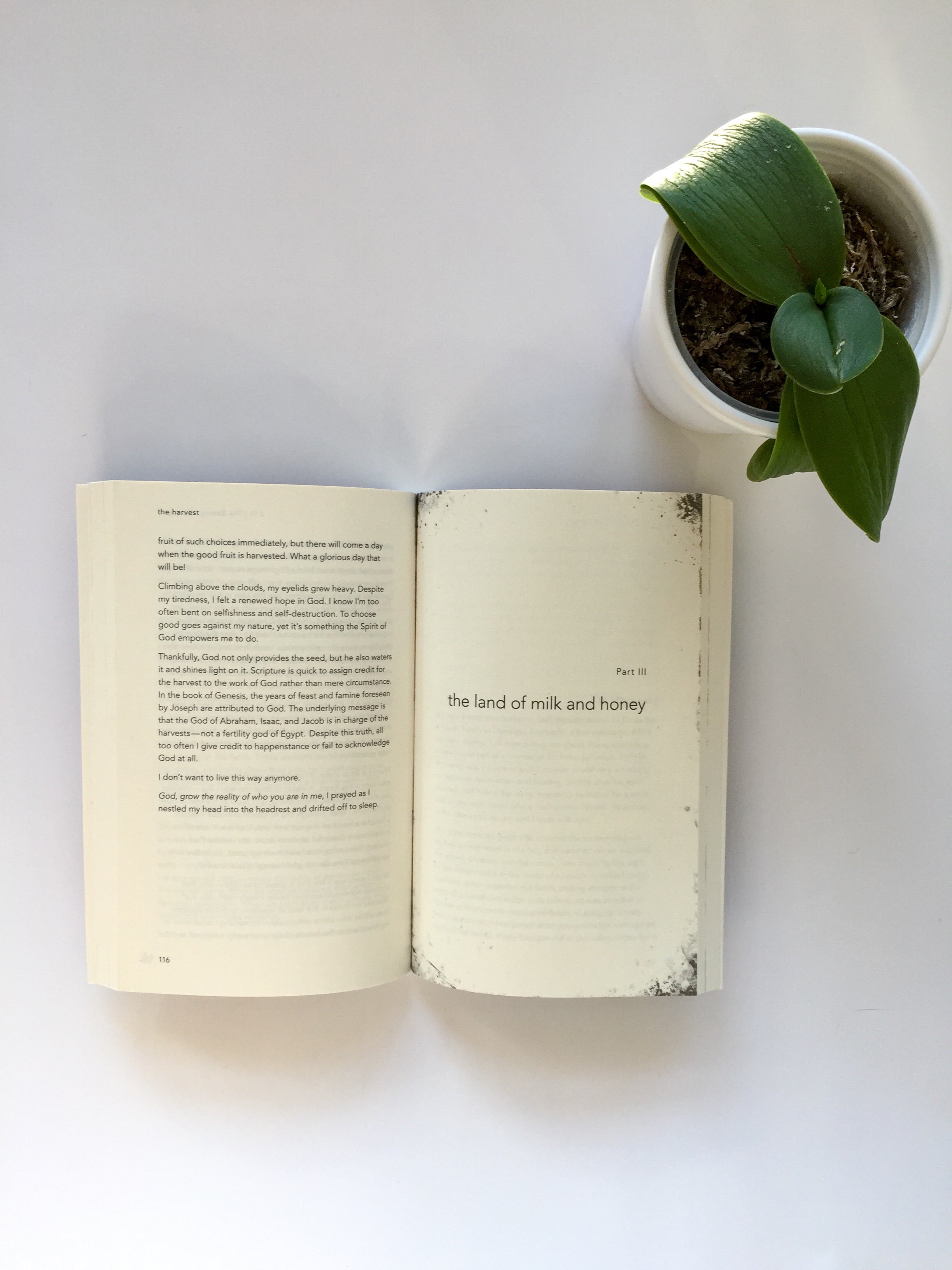 Scouting the Divine: My Search for God in Wine, Wool, and Wild Honey