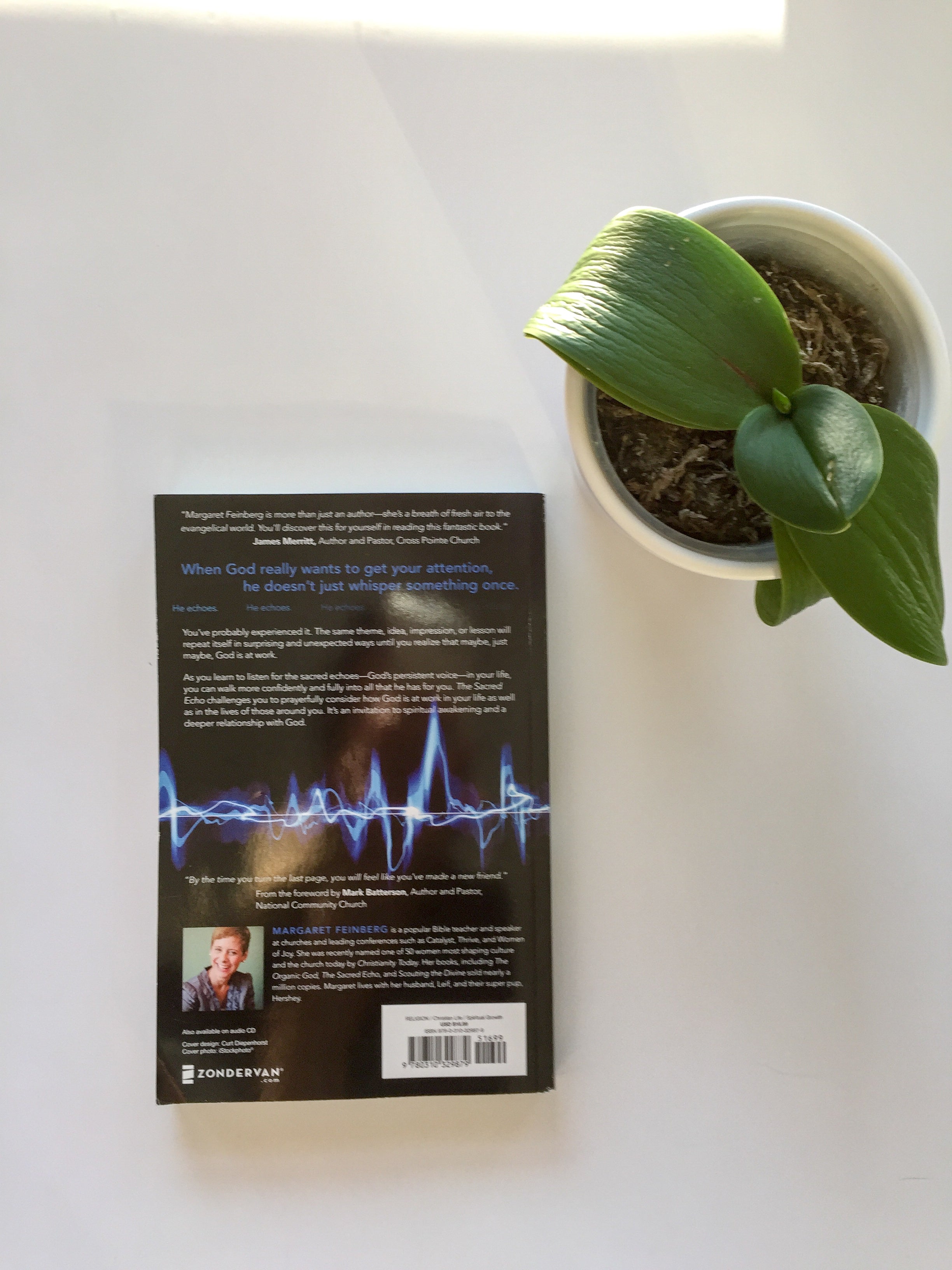 The Sacred Echo: Hearing God's Voice in Every Area of Your Life
