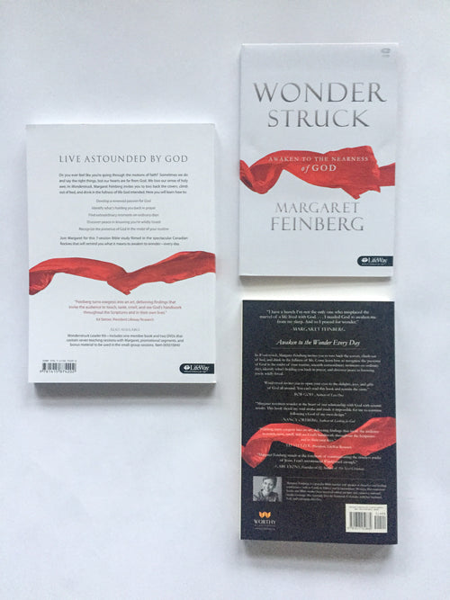 Wonderstruck DVD Bible Study Kit