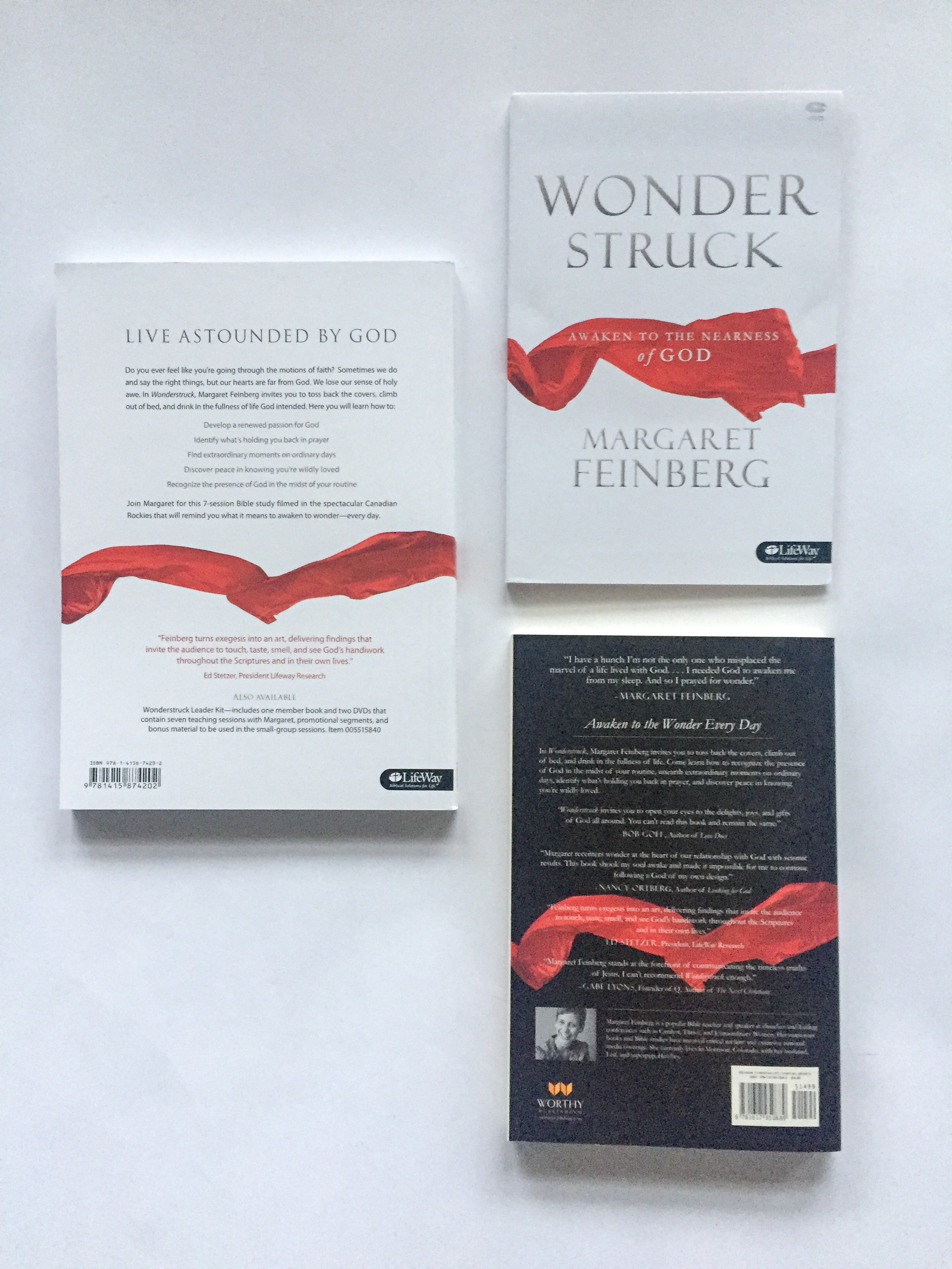 Wonderstruck: Awaken to the Nearness of God Bible Study STREAMING - Purchase through Vimeo