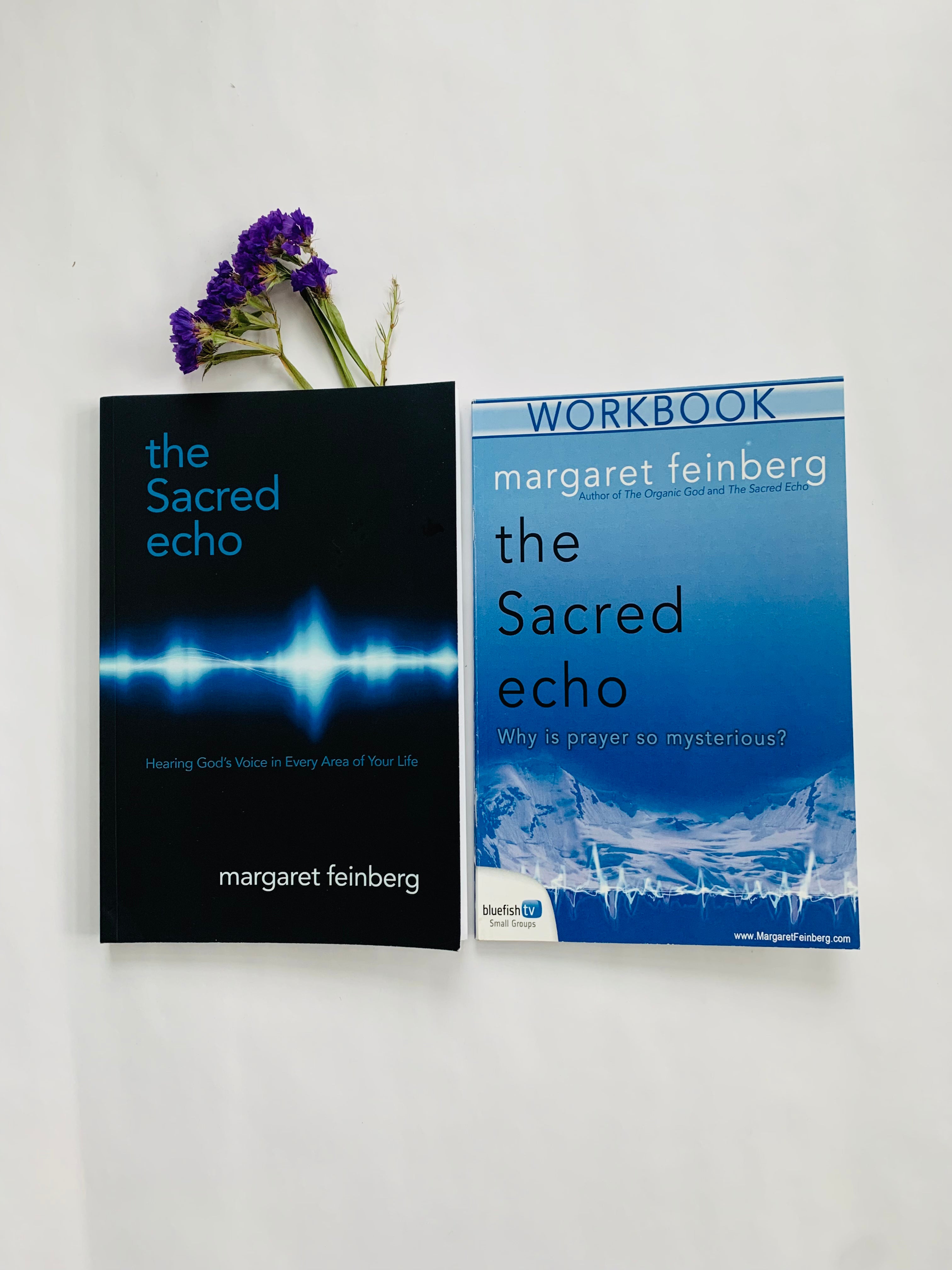 The Sacred Echo Book & Workbook Combination