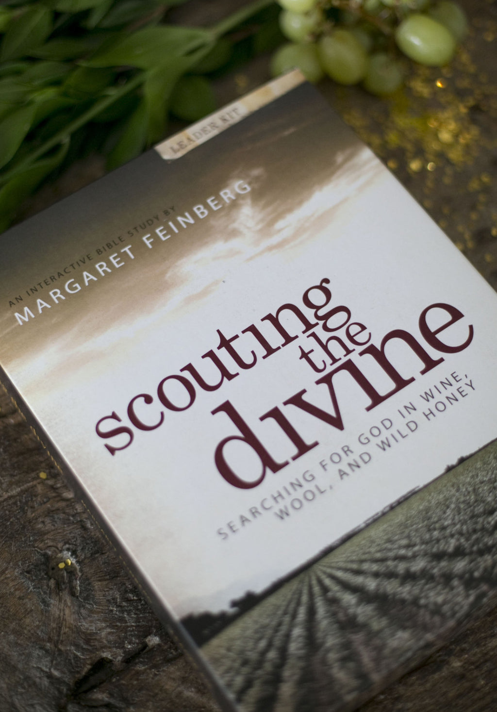 Scouting the Divine: Bible Study Bundle