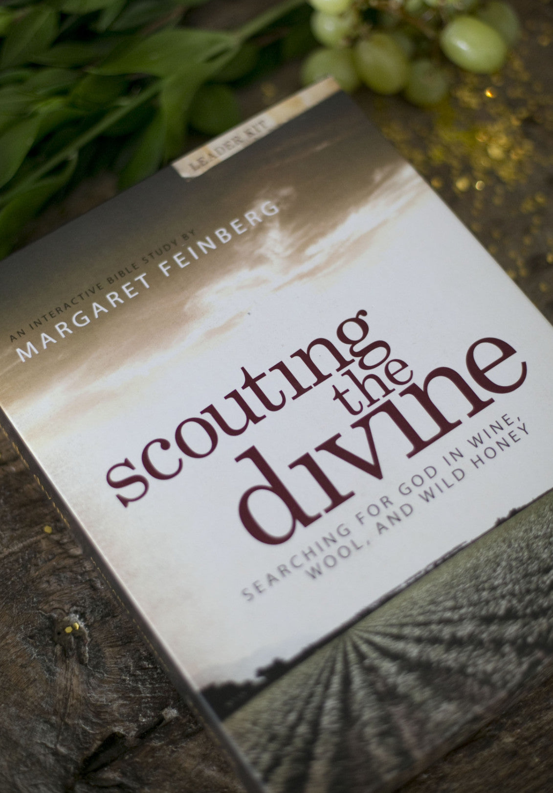Scouting the Divine: Bible Study Bundle
