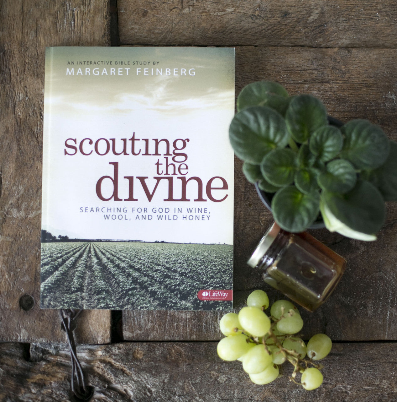 Scouting the Divine Workbook
