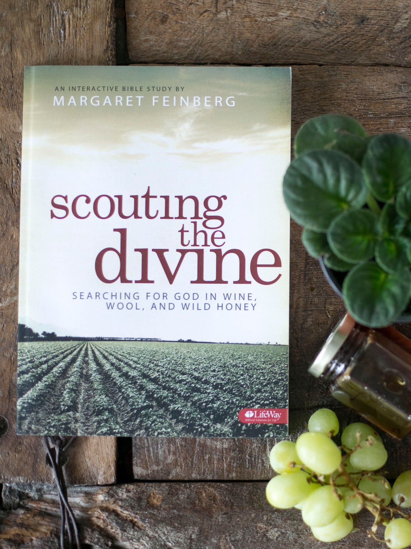Scouting the Divine Workbook