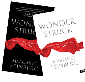 Wonderstruck Book and Workbook Combo