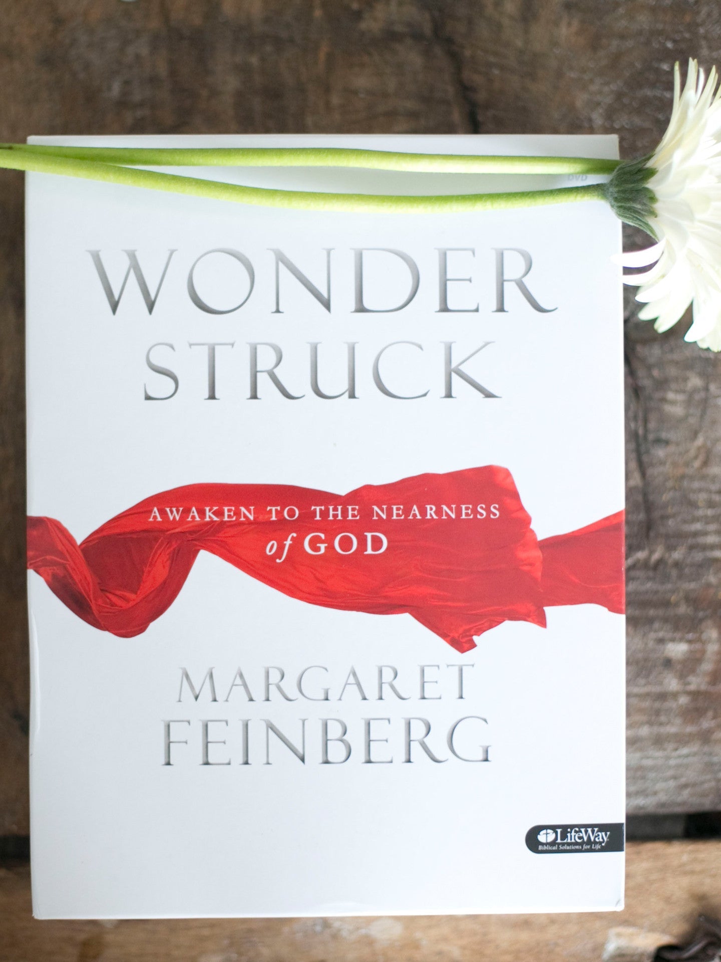 Wonderstruck: Awaken to the Nearness of God Bible Study STREAMING - Purchase through Vimeo