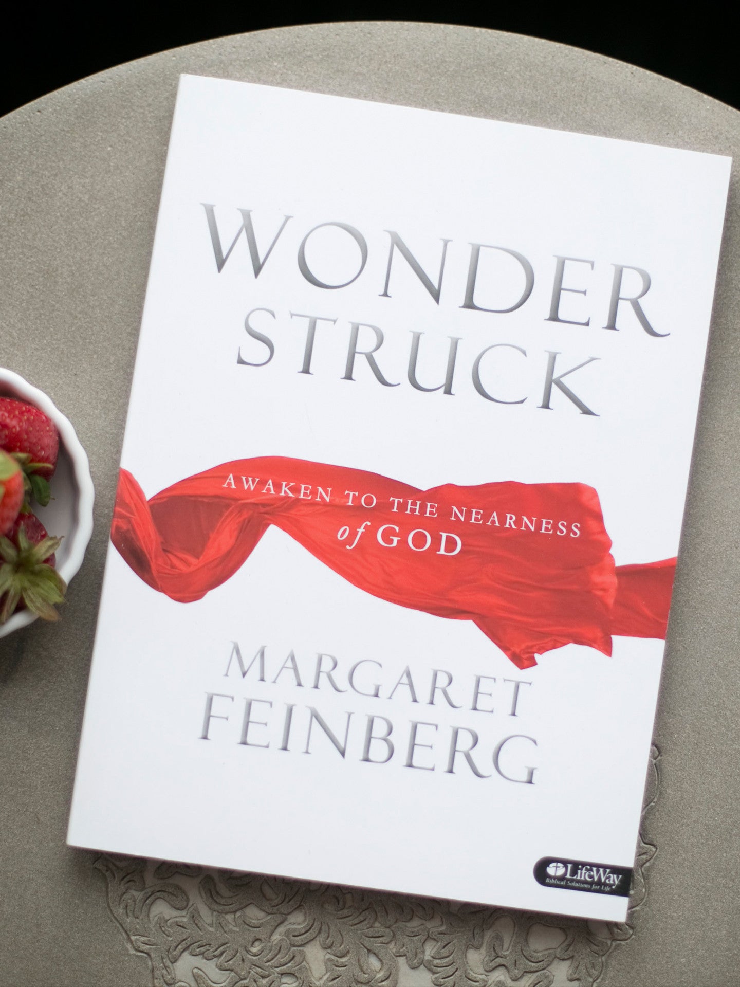 Wonderstruck Workbook