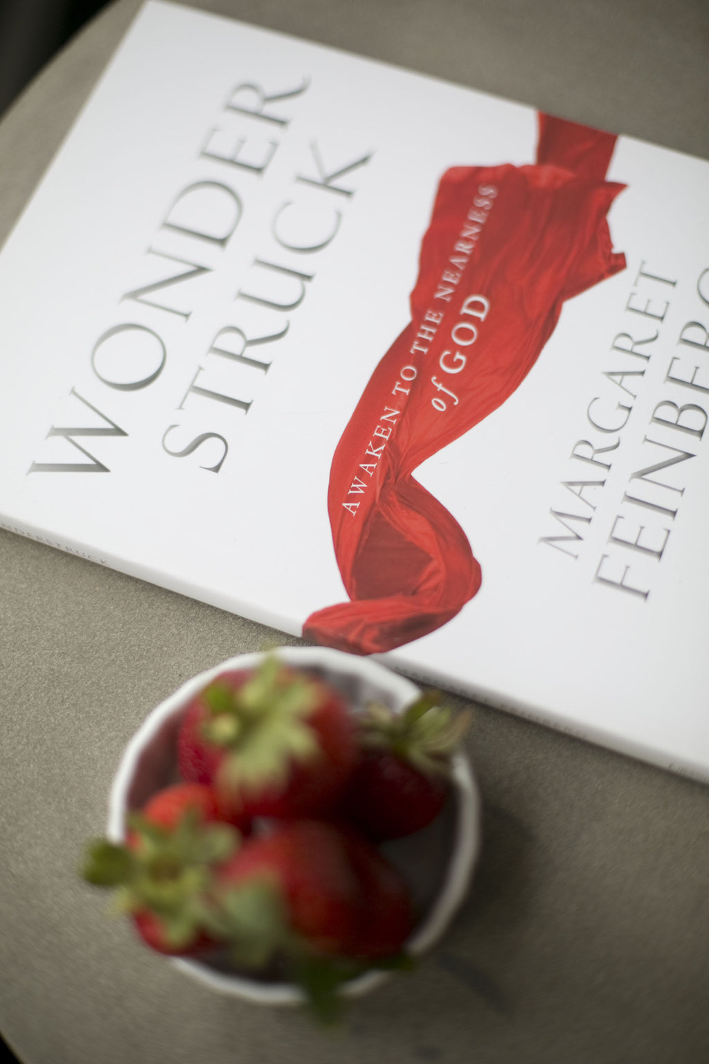 Wonderstruck Workbook