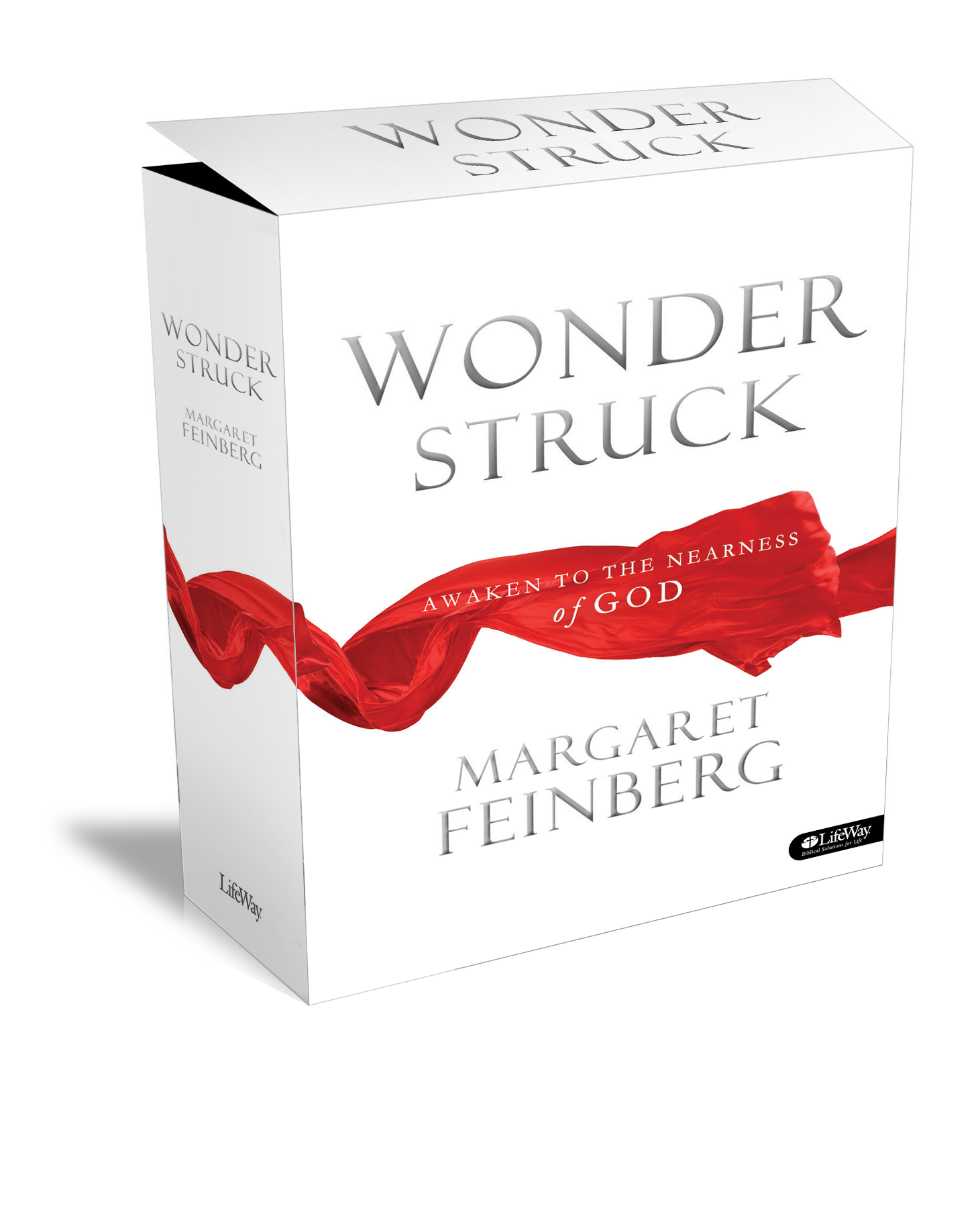Wonderstruck 7-Session DVD Bible Study
