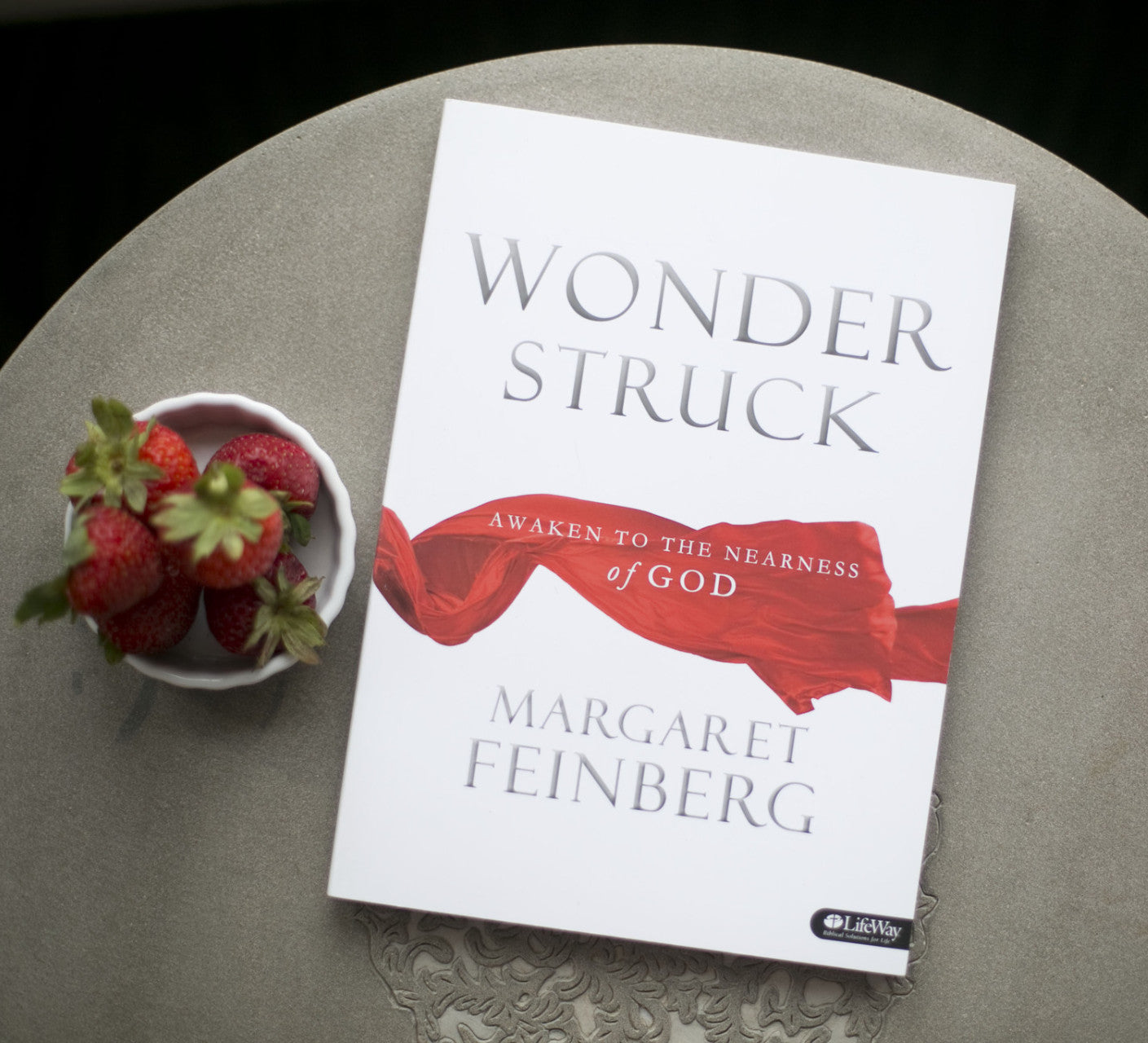 Wonderstruck Workbook